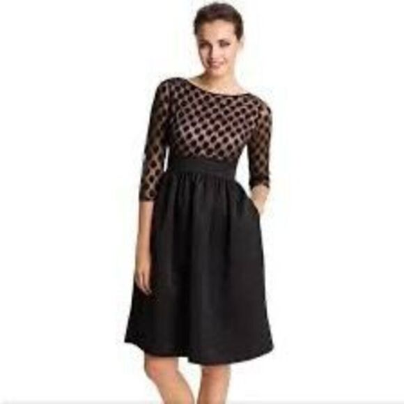 ✨Eliza J Black on Nude Polka Dot Mesh Dress Size 10✨ - Picture 4 of 16